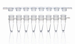 Slika STRIPS 8 PCR TUBES, PP, CLEAR           