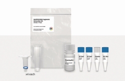 Gel/PCR DNA Fragment Extraction Kit