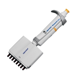Multichannel microliter pipettes Eppendorf Research<sup>&reg;</sup> plus (General Lab Product), variable