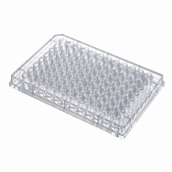 TISSUE CULTURE PLATE 96WELL FLAT BOTTOM,