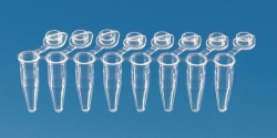 PCR tubes strips, with attached single caps, PP