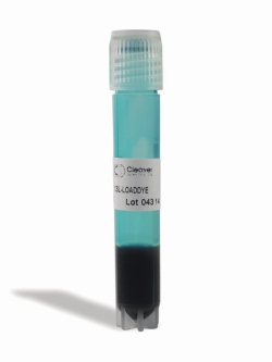 Slika DNA Loading Dyes