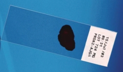 Label tape for hand-held label printer M210/M210-LAB