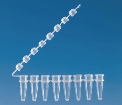 Slika Strips of 8 PCR tubes with attached cap strips