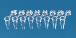 Slika PCR tubes strips, with attached single caps, PP