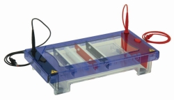 Slika Gel electrophoresis tank MultiSUB Choice