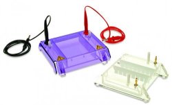 Slika Accessories for Gel Electrophoresis Tank MultiSUB MiniRapide