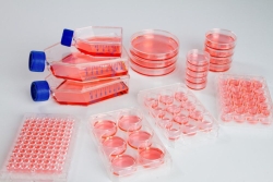 Cell culture dishes Nunclon&trade; Sphera&trade;