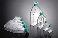 Slika Cell culture flasks, treated, PS, sterile