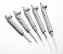 Single channel microlitre pipettes Eppendorf Reference<sup>&reg;</sup> 2 (General Lab Product), fix