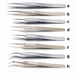 High precision tweezers for biology, stainless steel
