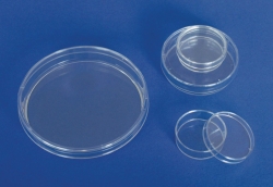 Slika Petri dishes, PS