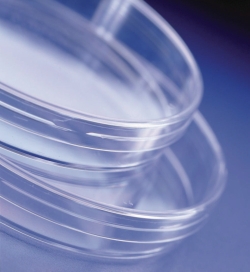 Slika Petri Dishes Sterilin&trade;, &Oslash; 90 mm, PS