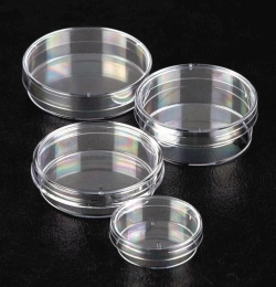 Slika Petri Dishes Sterilin&trade;, PS