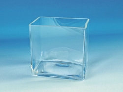 Slika Aquaria, clear glass