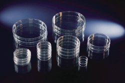 Petri Dishes, PS, with grid