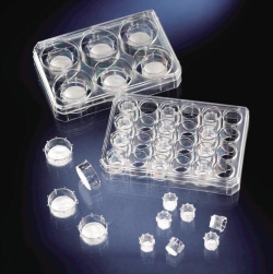 Slika Cell Culture Inserts and Carrier Plates, PC, sterile