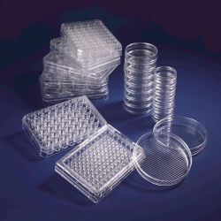 Cell Culture Dishes with thermosensitive UpCell&trade; Surface, PS