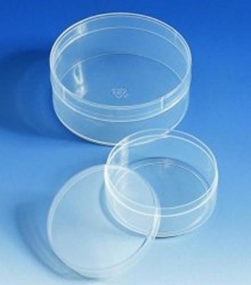 Slika Containers, PP, with lids