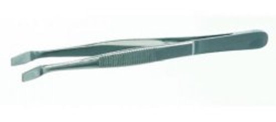 COVER GLASS FORCEPS, 105 MM             