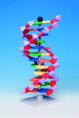 Slika Molecular model system miniDNA<sup>&reg;</sup> / RNA Kits