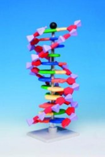 Molecular model system miniDNA<sup>&reg;</sup> / RNA Kits