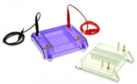 Accessories for Gel Electrophoresis Tank MultiSUB MiniRapide