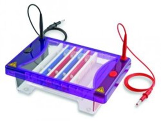 Accessories for Gel Electrophoresis Tank MultiSUB Choice