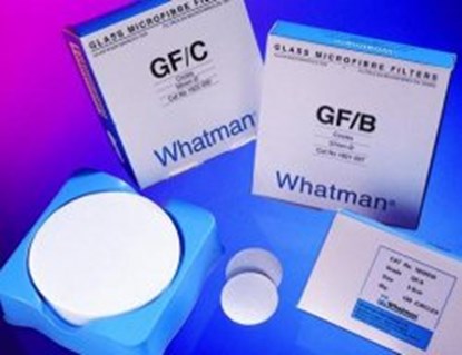 Slika Glass microfibre filters, grade GF/B, round filters