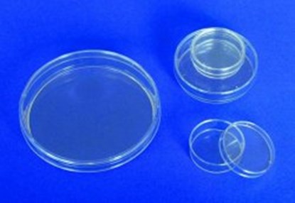 Slika LLG-Petri dishes, PS
