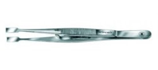 COVER GLASS FORCEPS 160 MM              