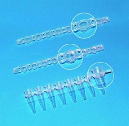 Slika Strips of 8-/12- PCR tubes plus detached cap strips, PP
