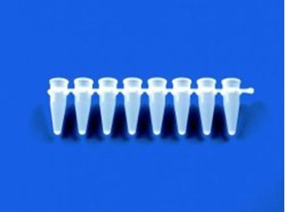 Slika Strips of 8-/12- PCR tubes plus detached cap strips, PP