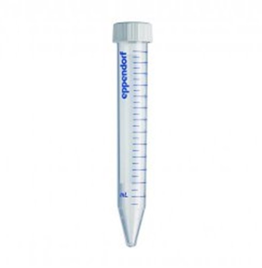 TUBES 15ML, CONICAL, DNA                