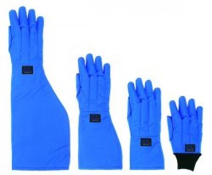 Slika Protection Gloves Cryo Gloves&reg; Standard, wrist length with knitted cuff