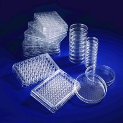 Slika Cell Culture Dishes with thermosensitive UpCell&trade; Surface, PS, with grid