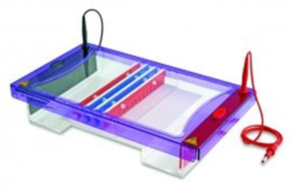 Slika Gel electrophoresis tank MultiSUB Maxi