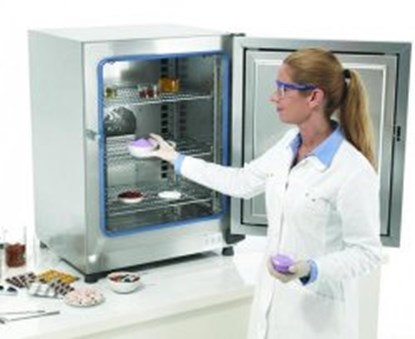 Slika Ovens Heratherm&trade; Advanced Protocol Security, with gravity convection