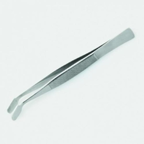 Cover glass forceps, stainless steel