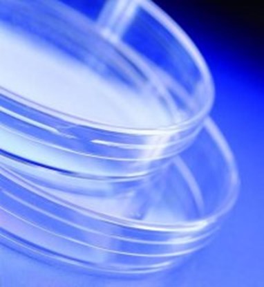 Slika Petri Dishes Sterilin&trade;, &Oslash; 90 mm, PS