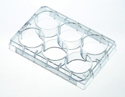 Slika TISSUE CULTURE PLATES 4-WELL, PS