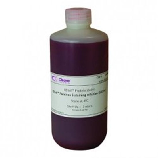 PONCEAU S STAINING SOLUTION (500 ML)    