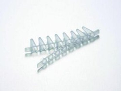 Slika Fast PCR-Tubes 0.1 ml, 8 tube-strips with separate cap strip